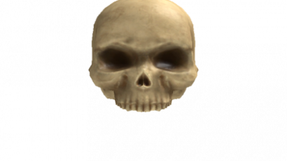 Small Skull