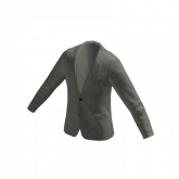 Image of Business Coat - Gray