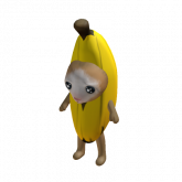 Image of Banana Cat