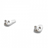 Image of Bear Slippers
