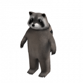 Image of Raccoon Suit