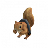 Image of Squirrel Rider