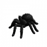Image of Tarantula Animated (Black)