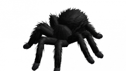 Tarantula Animated (Black)