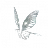 Image of Baby Faerie Wings