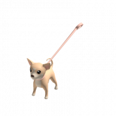 Image of Yippy Chihuahua