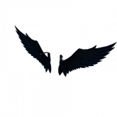 Image of Dark Shoulder Wing Set