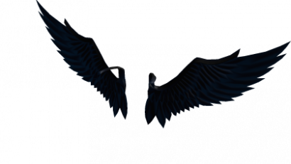 Dark Shoulder Wing Set