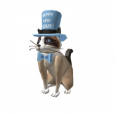 Image of New Years Kitty