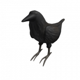 Image of Shoulder Crow