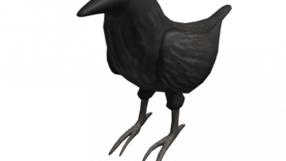 Shoulder Crow