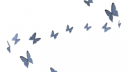 Swirl of Butterflies (Top)