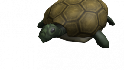 Turtle Shoulder Friend