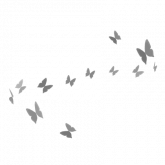Image of White Swirl of Butterflies (Top)