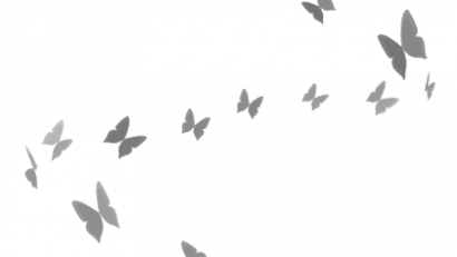 White Swirl of Butterflies (Top)