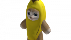 Banana Cat Suit