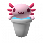Image of Axolotl in a cup