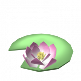 Image of Big Cute Lily Pad with Flower