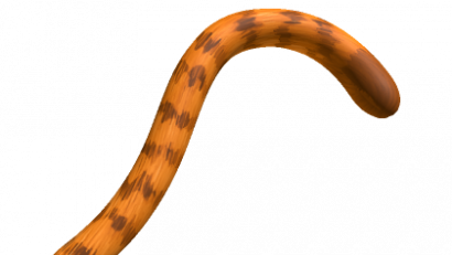 Orange Cat Tail